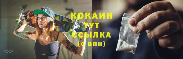 прущие грибы Вязники