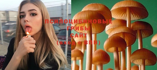 Альфа ПВП Кукмор