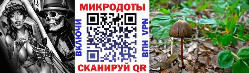 Галлюциногенные грибы прущие грибы Гдов